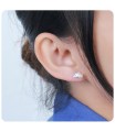 Silver Studs Earring STS-741